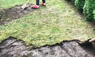 Снятие дерна старого газона в Выборге – от 525 руб. | ГОСТСТРОЙ